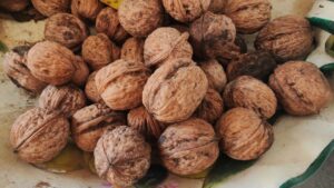 Scopri di più sull'articolo Le noci aiutano a dimagrire? Ecco i consigli degli esperti