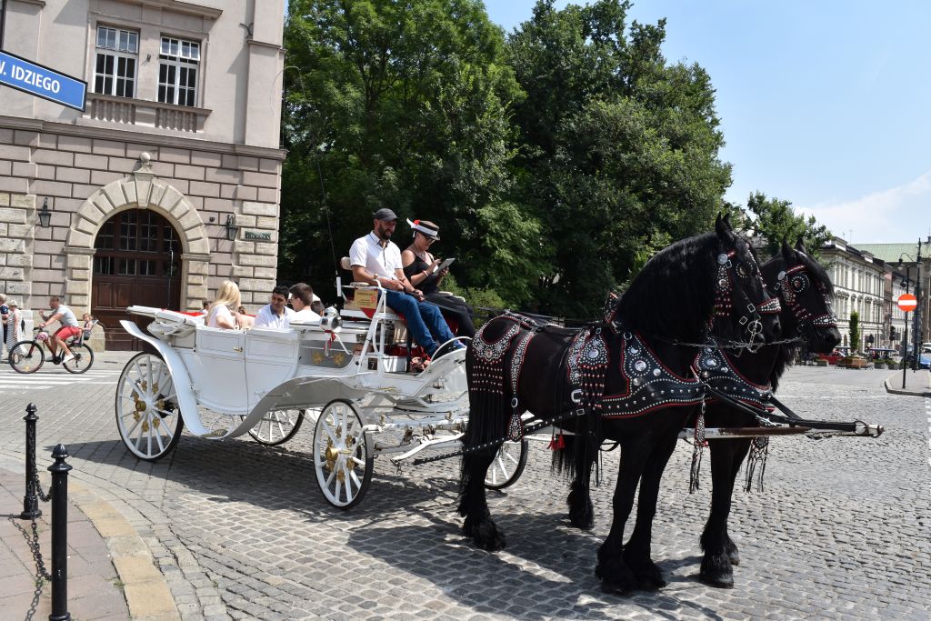 In carrozza a Cracovia