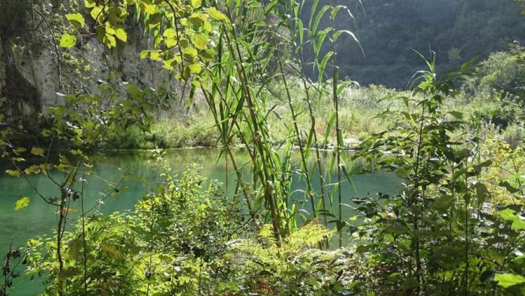 Scopri di più sull'articolo Passione fotografia: i colori della natura e le sfumature della vita