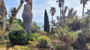 Scopri di più sull'articolo Il mio viaggio on the road tra Spagna e Portogallo: la partenza