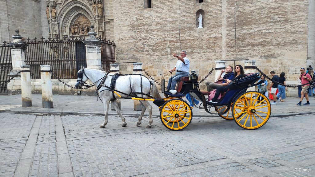 Scopri di più sull'articolo Siviglia: il cuore caldo dell’Andalusia tra cattedrali, flamenco e panorami mozzafiato