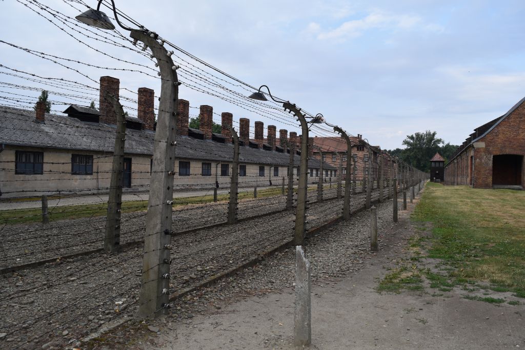 Scopri di più sull'articolo Giorno della memoria: il paradosso dell’antisemitismo e l’appello ai giovani