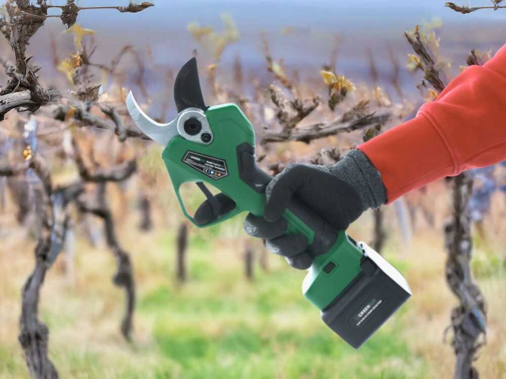 Scopri di più sull'articolo Guida alla potatura delle piante: tecniche e consigli dell’esperto